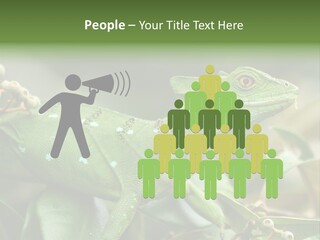 Rainforest America Jesus PowerPoint Template