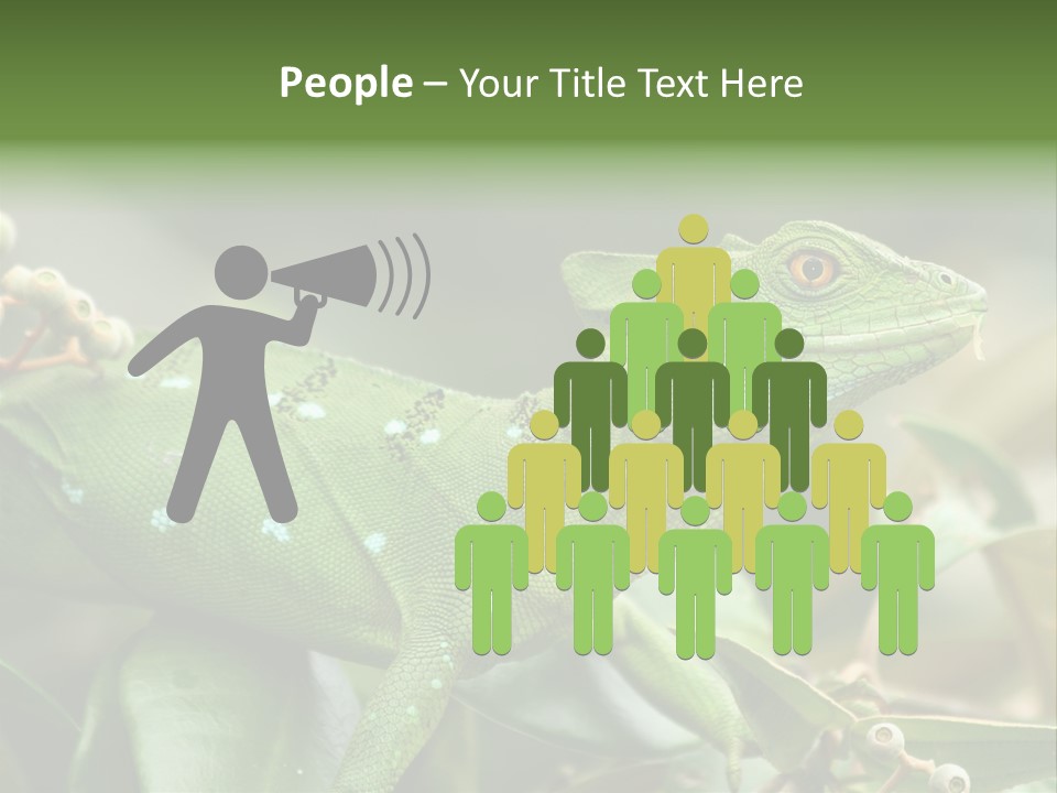 Rainforest America Jesus PowerPoint Template