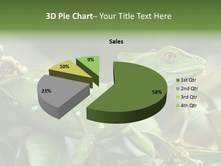 Rainforest America Jesus PowerPoint Template