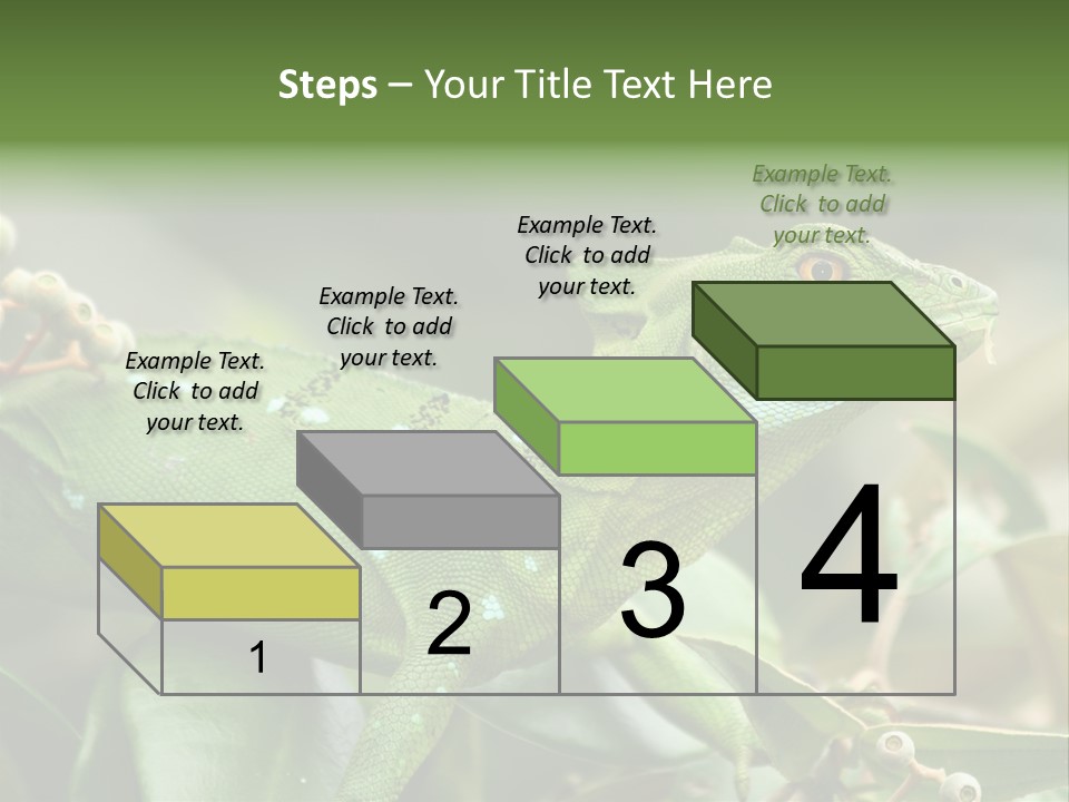 Rainforest America Jesus PowerPoint Template