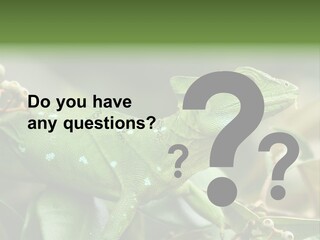 Rainforest America Jesus PowerPoint Template