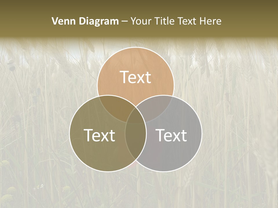 Spike Ear Background PowerPoint Template