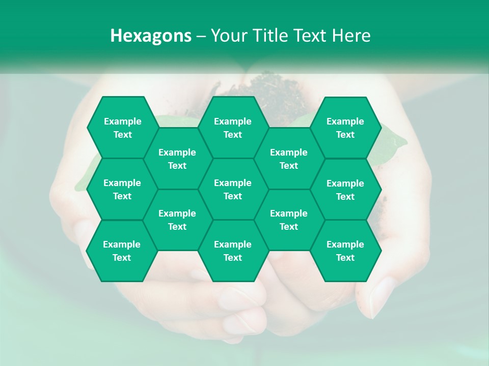 A Person Holding A Plant In Their Hands PowerPoint Template