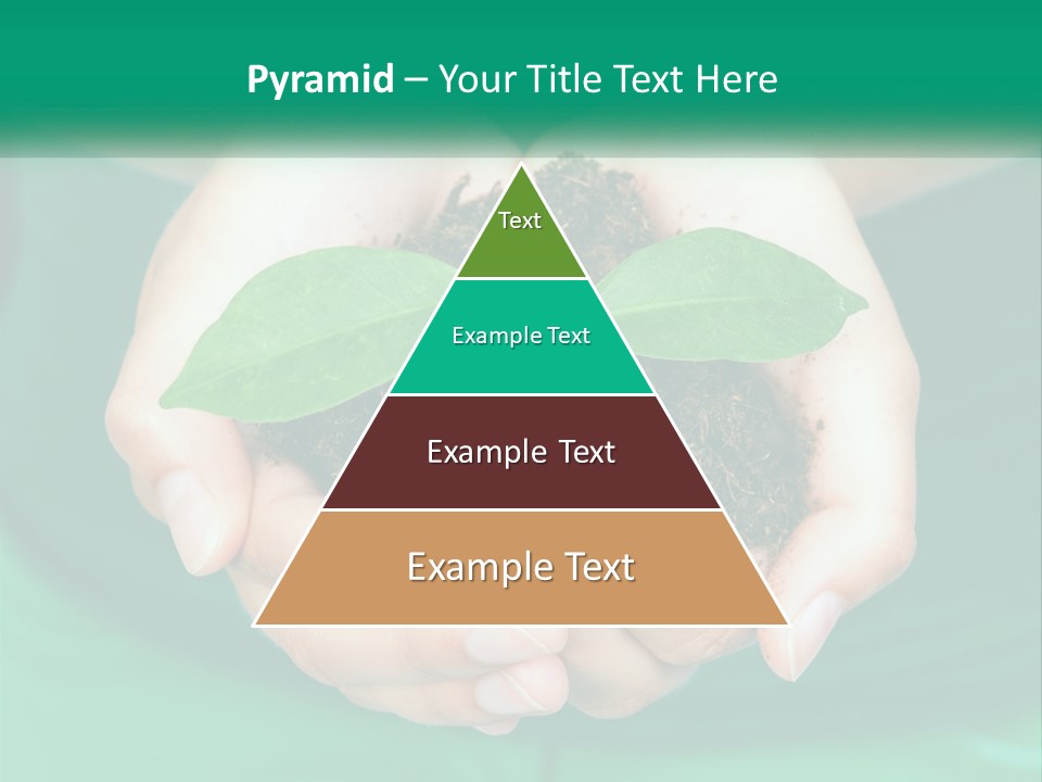 A Person Holding A Plant In Their Hands PowerPoint Template