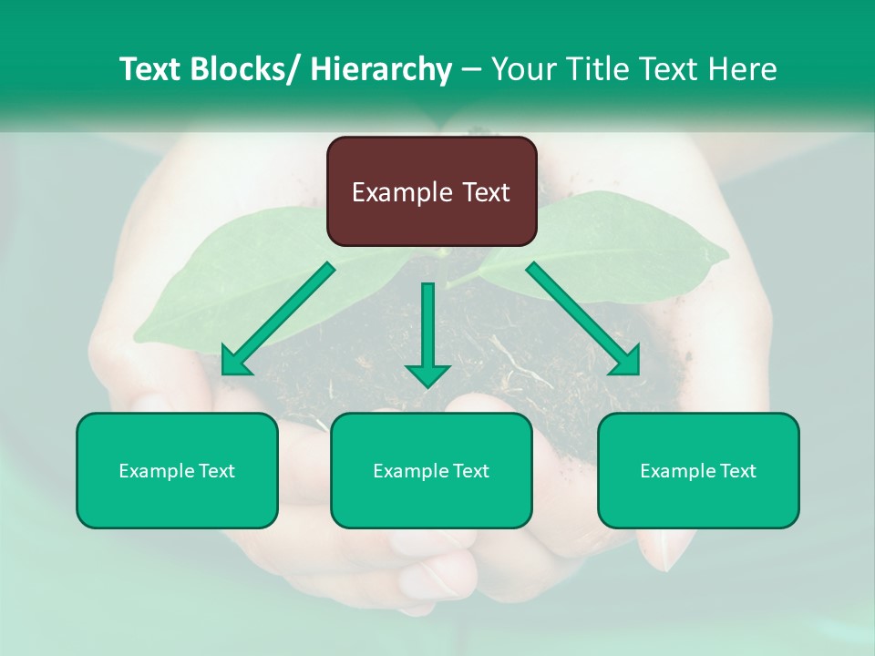 A Person Holding A Plant In Their Hands PowerPoint Template