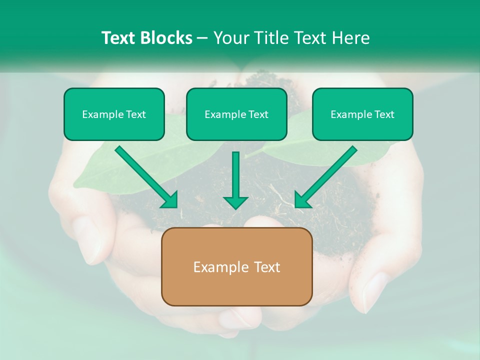 A Person Holding A Plant In Their Hands PowerPoint Template