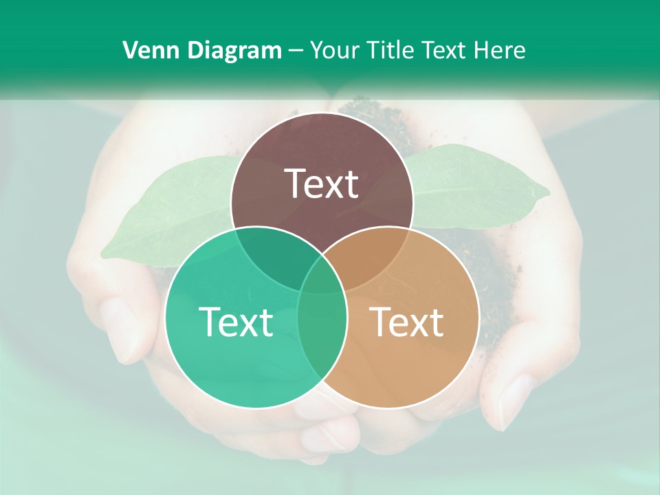 A Person Holding A Plant In Their Hands PowerPoint Template