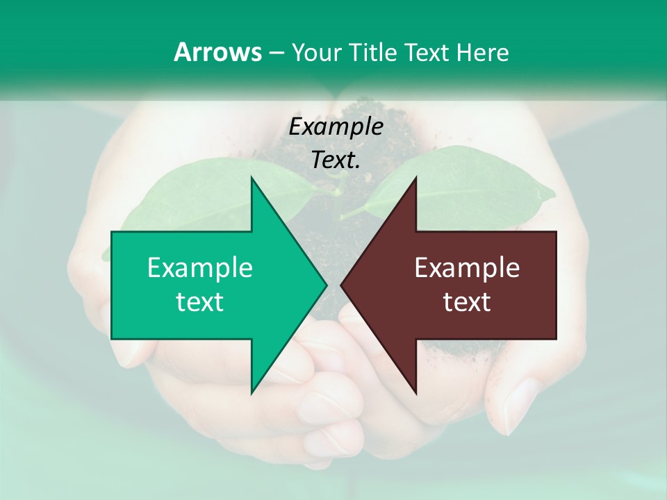 A Person Holding A Plant In Their Hands PowerPoint Template