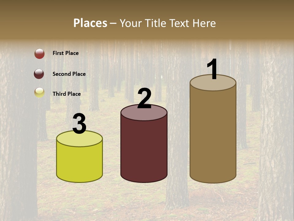 Pine Timber Spring PowerPoint Template