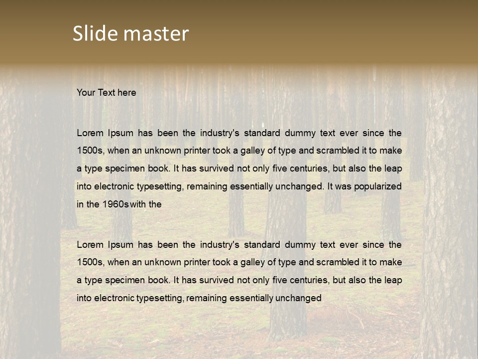 Pine Timber Spring PowerPoint Template