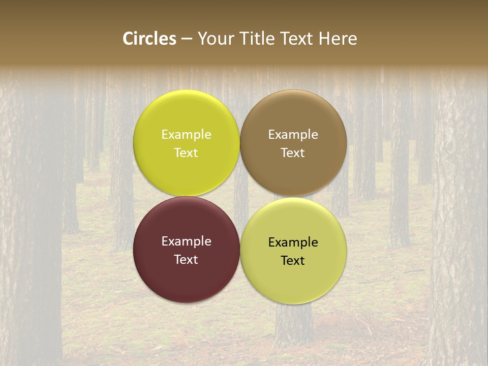 Pine Timber Spring PowerPoint Template