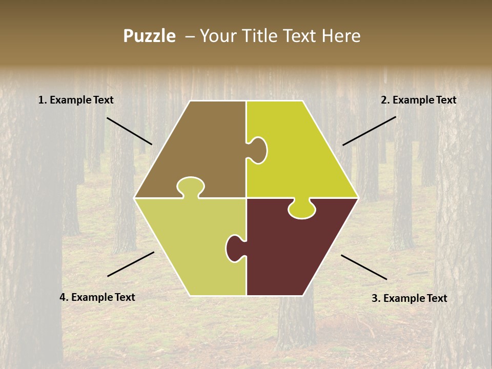 Pine Timber Spring PowerPoint Template