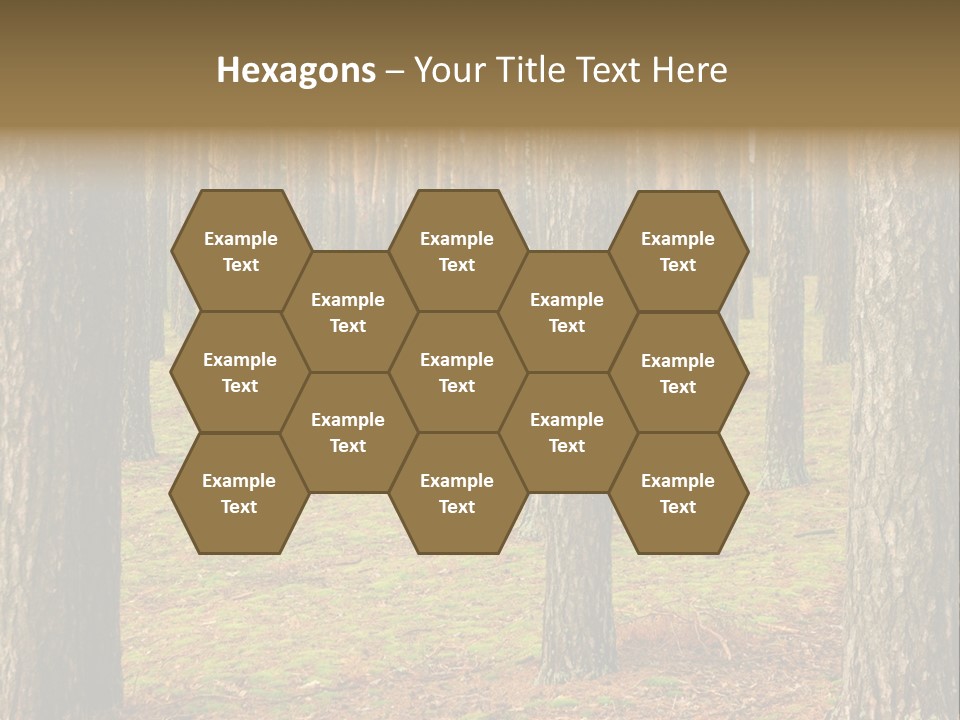 Pine Timber Spring PowerPoint Template