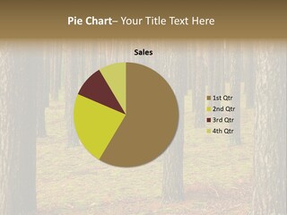Pine Timber Spring PowerPoint Template