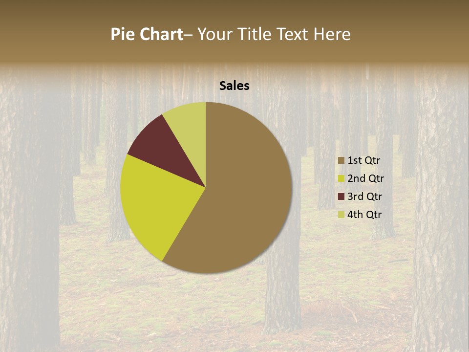 Pine Timber Spring PowerPoint Template