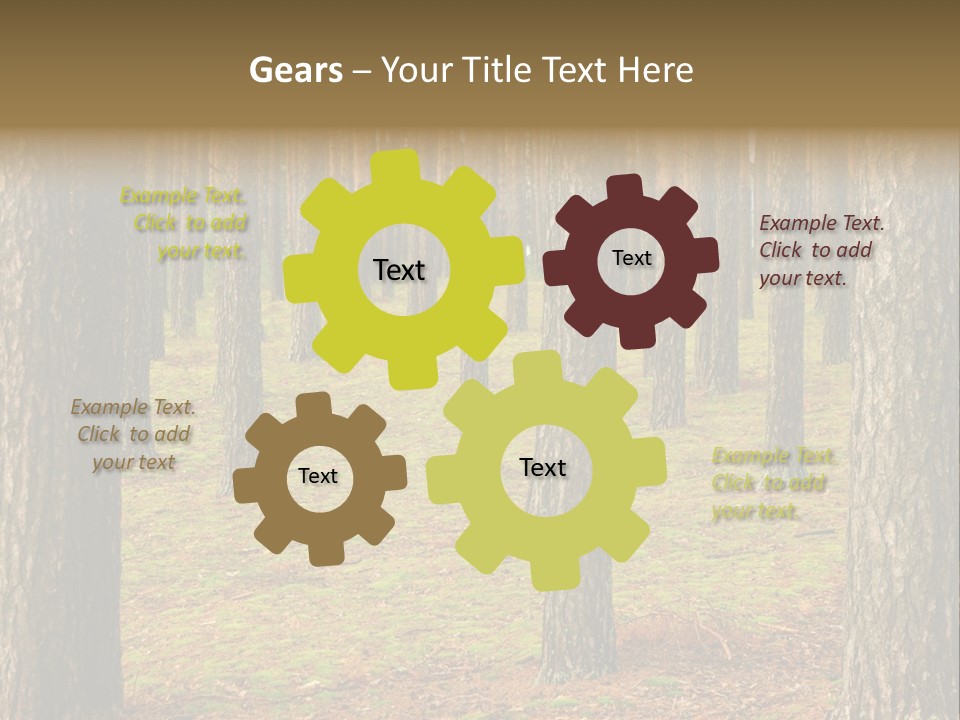 Pine Timber Spring PowerPoint Template