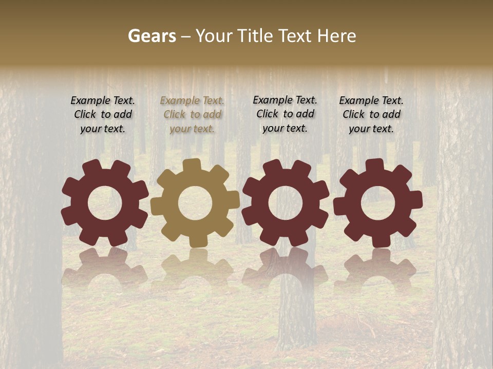 Pine Timber Spring PowerPoint Template