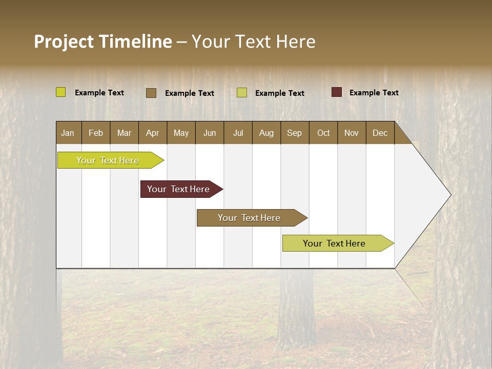 Pine Timber Spring PowerPoint Template