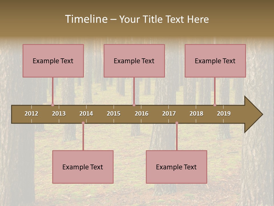 Pine Timber Spring PowerPoint Template