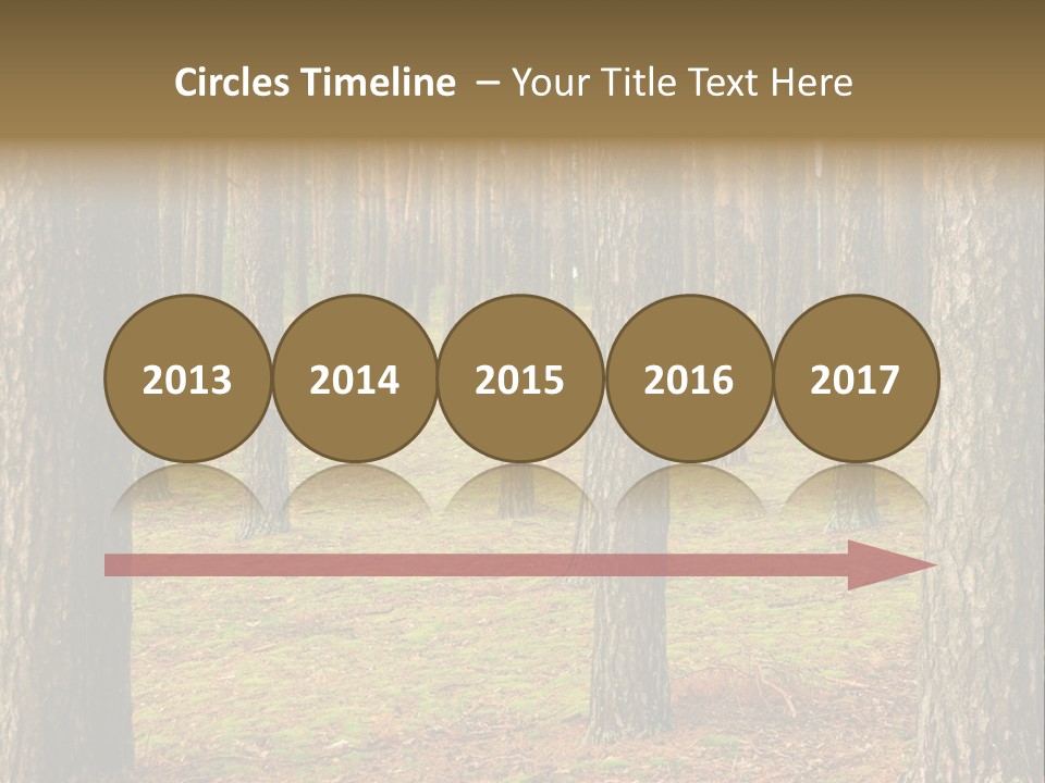 Pine Timber Spring PowerPoint Template