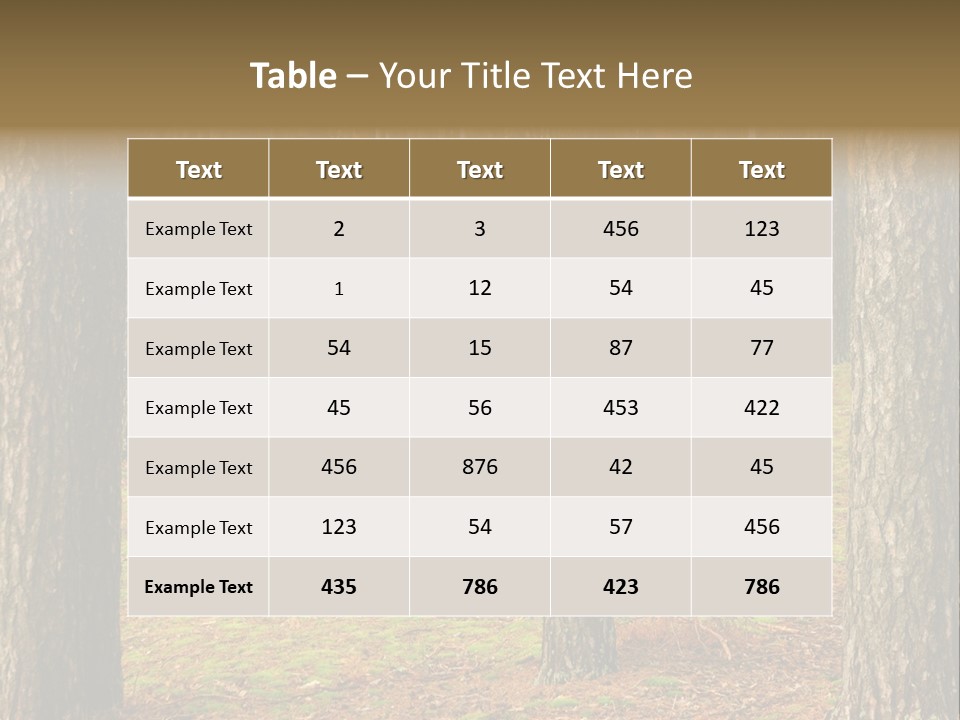 Pine Timber Spring PowerPoint Template