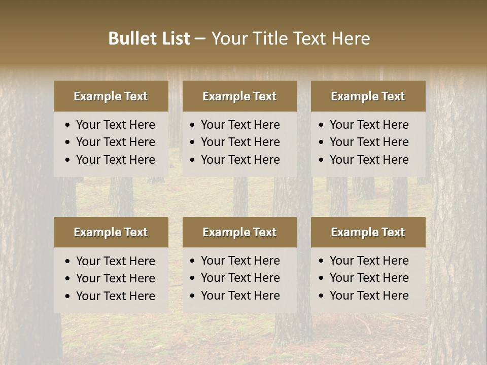 Pine Timber Spring PowerPoint Template