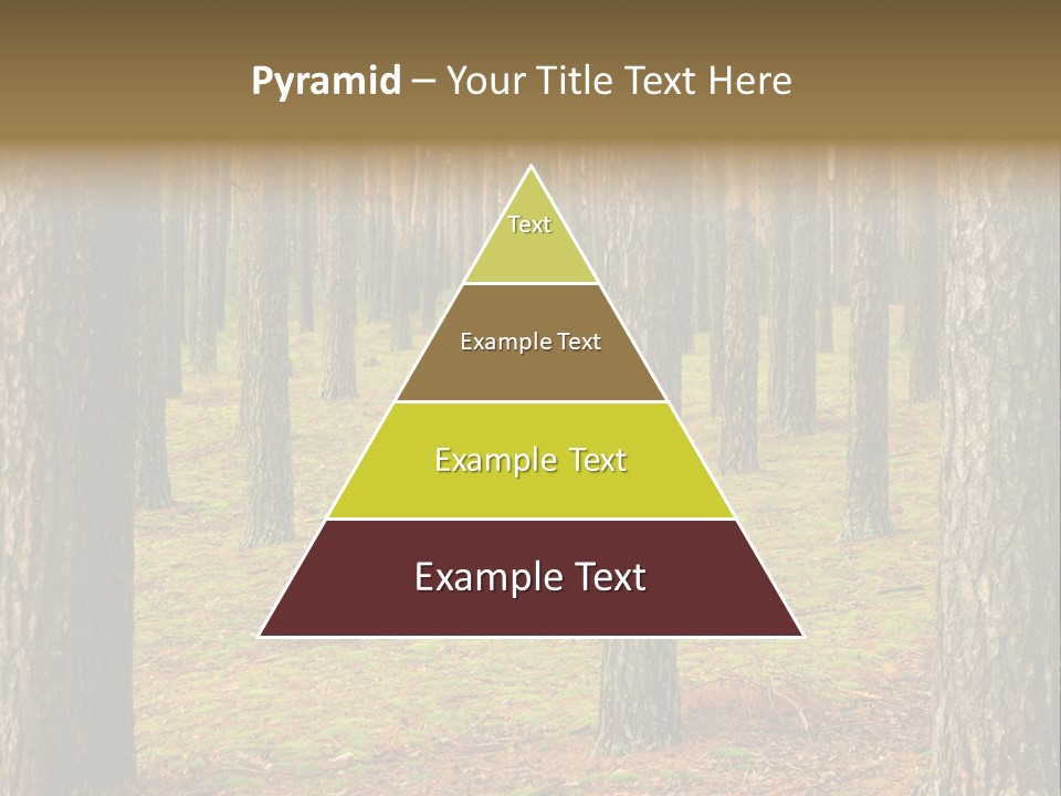 Pine Timber Spring PowerPoint Template
