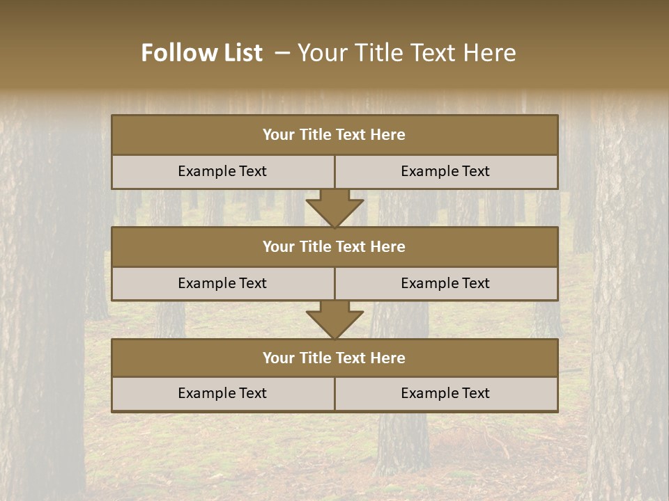 Pine Timber Spring PowerPoint Template