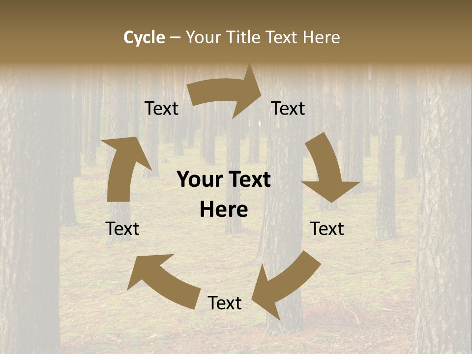 Pine Timber Spring PowerPoint Template