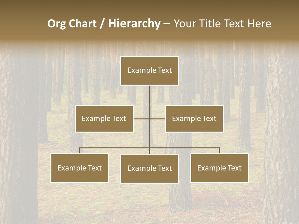 Pine Timber Spring PowerPoint Template