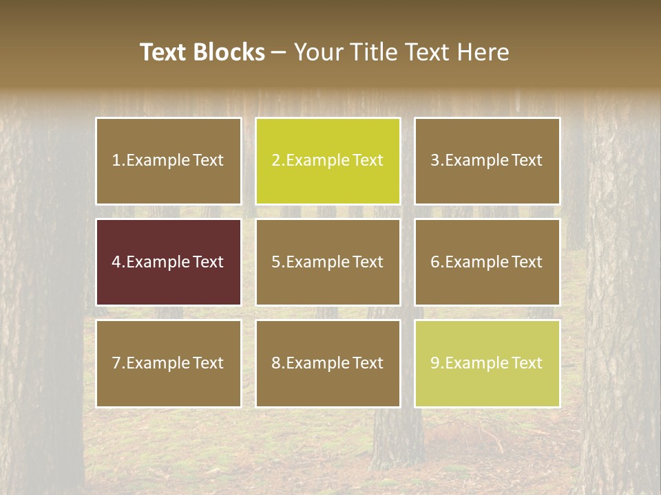 Pine Timber Spring PowerPoint Template