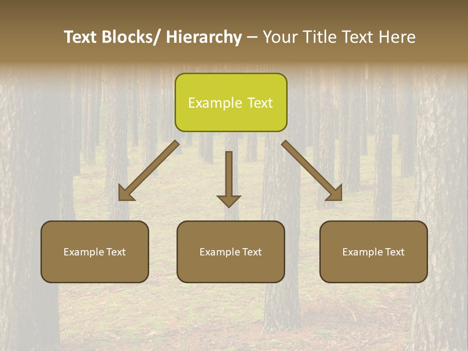 Pine Timber Spring PowerPoint Template
