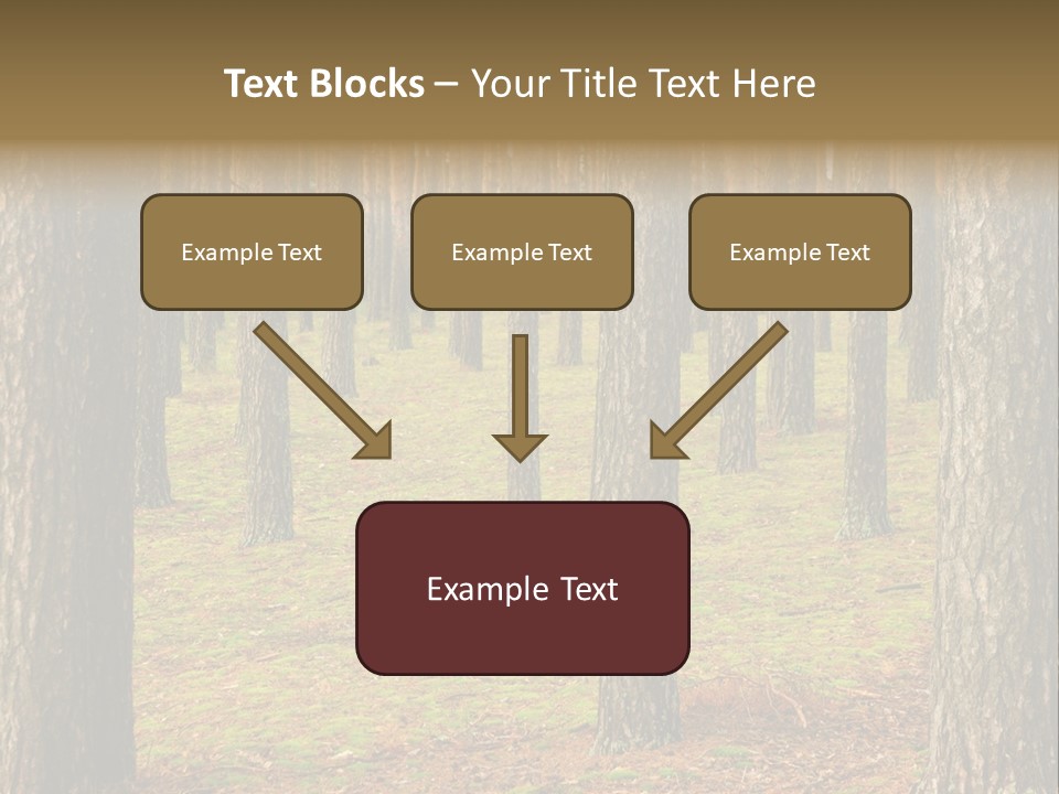 Pine Timber Spring PowerPoint Template
