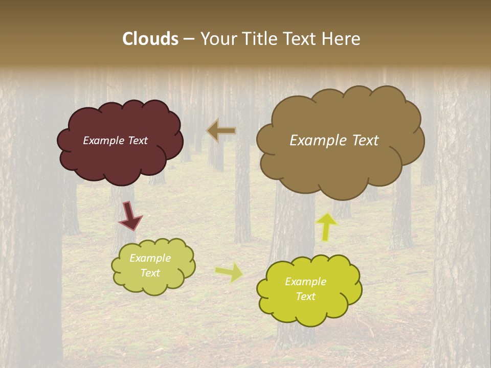 Pine Timber Spring PowerPoint Template