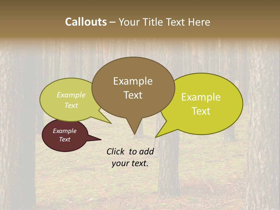 Pine Timber Spring PowerPoint Template