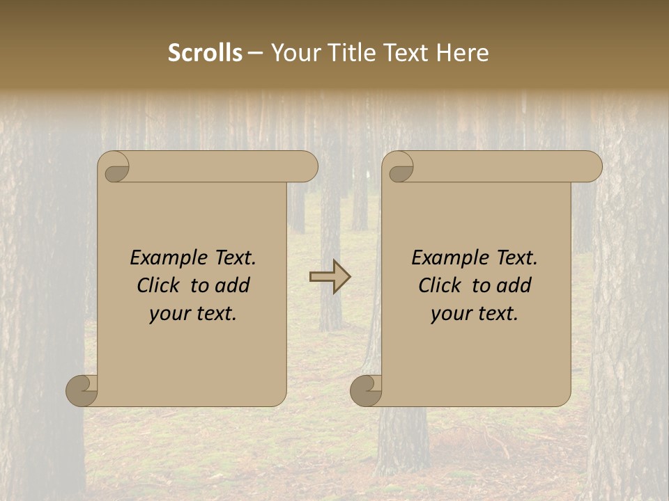 Pine Timber Spring PowerPoint Template