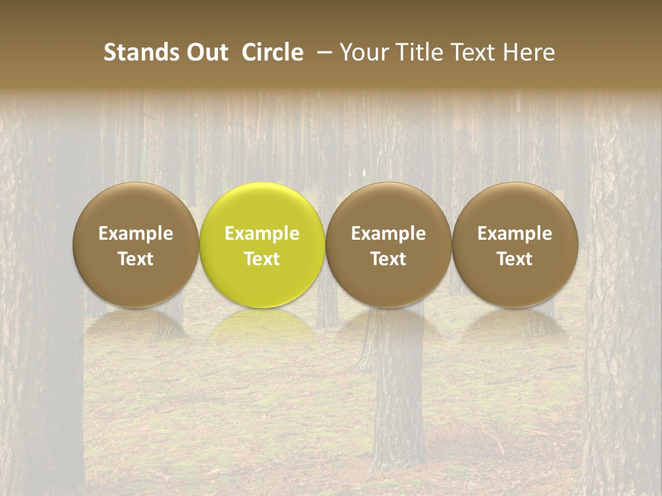 Pine Timber Spring PowerPoint Template