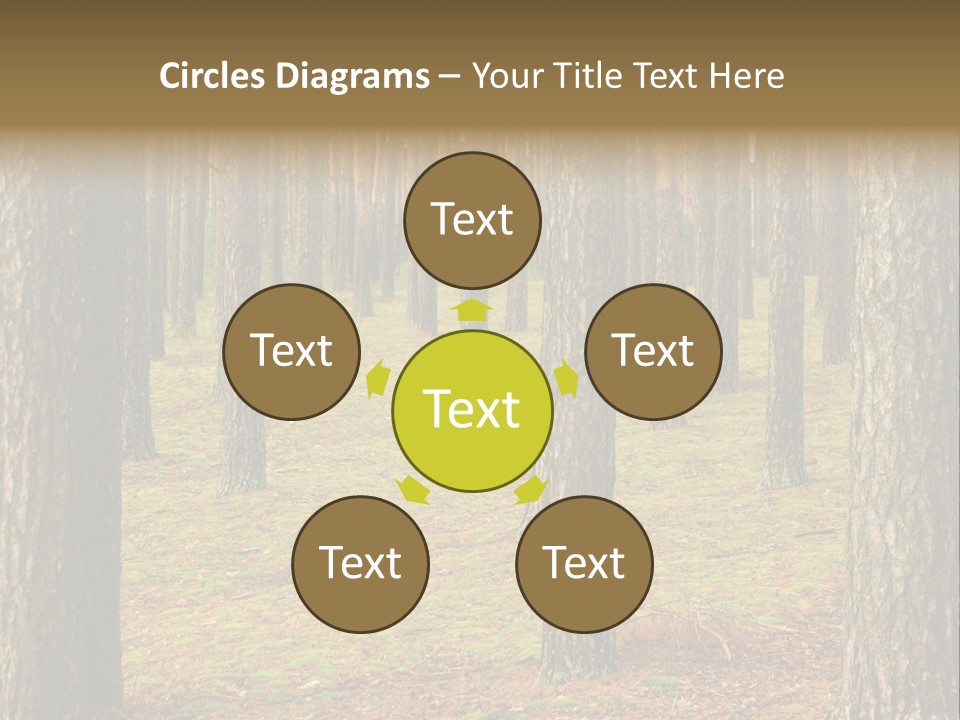 Pine Timber Spring PowerPoint Template