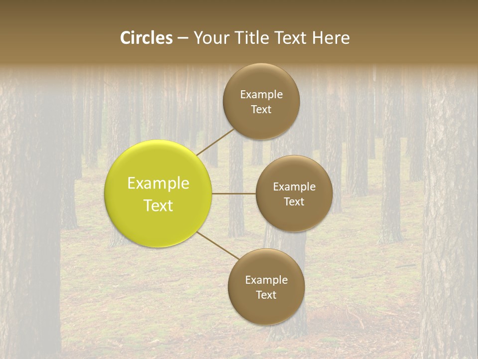 Pine Timber Spring PowerPoint Template