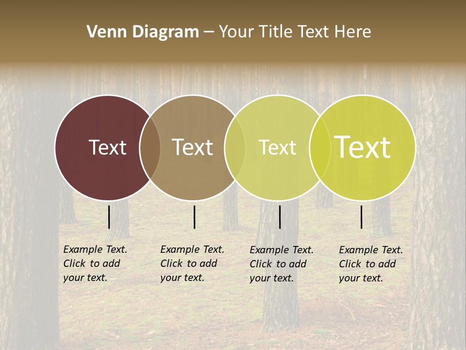 Pine Timber Spring PowerPoint Template