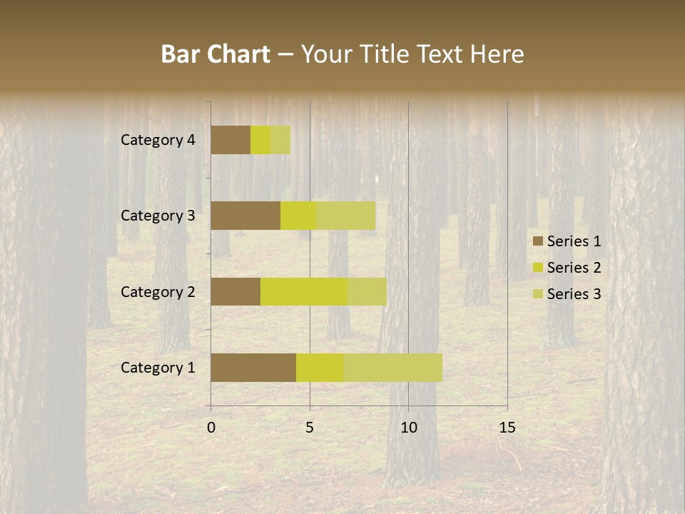 Pine Timber Spring PowerPoint Template