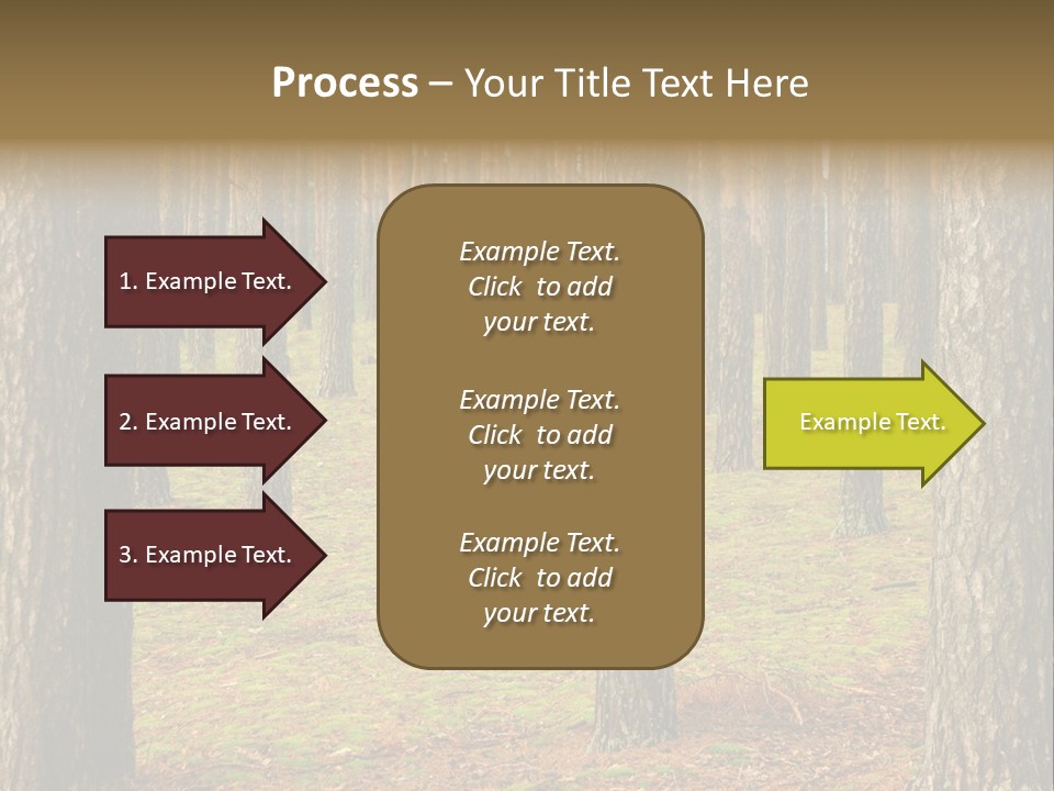 Pine Timber Spring PowerPoint Template