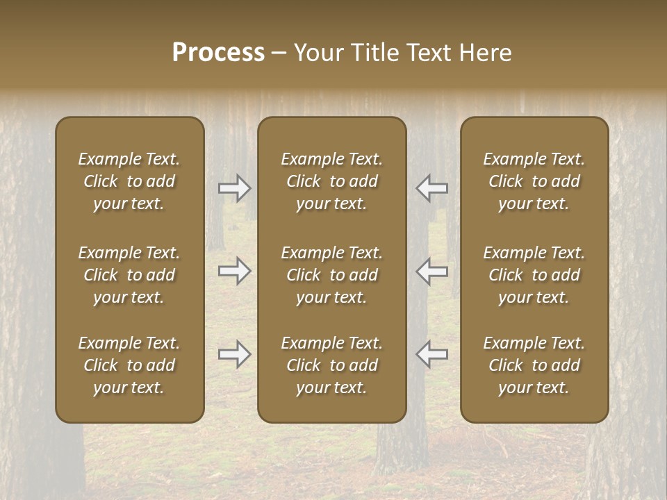 Pine Timber Spring PowerPoint Template