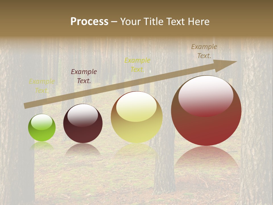 Pine Timber Spring PowerPoint Template