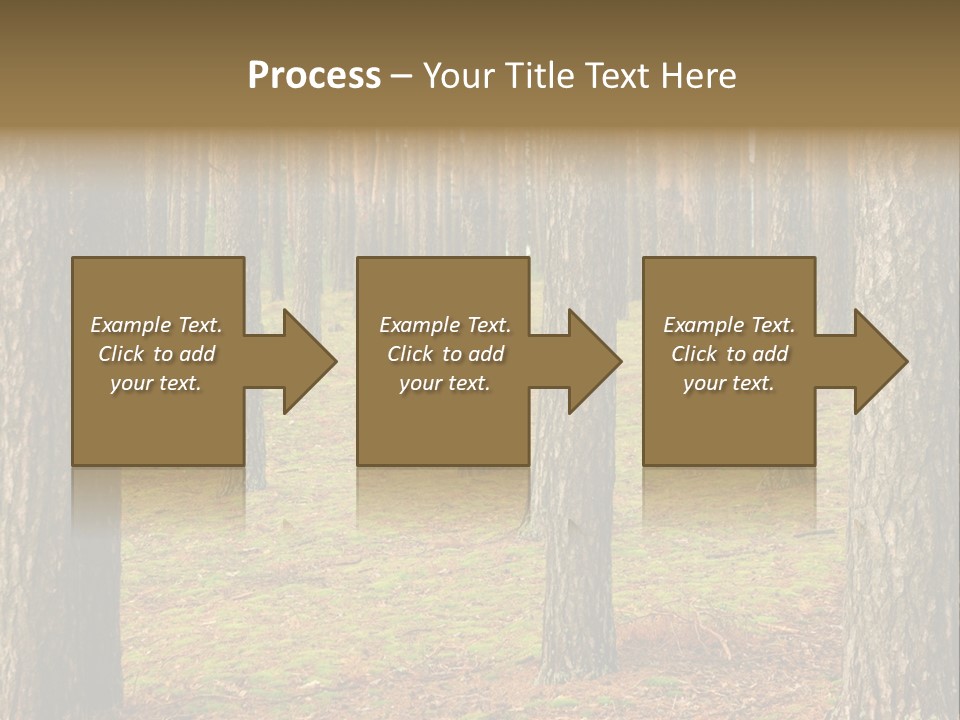 Pine Timber Spring PowerPoint Template