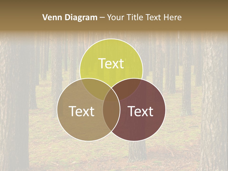 Pine Timber Spring PowerPoint Template