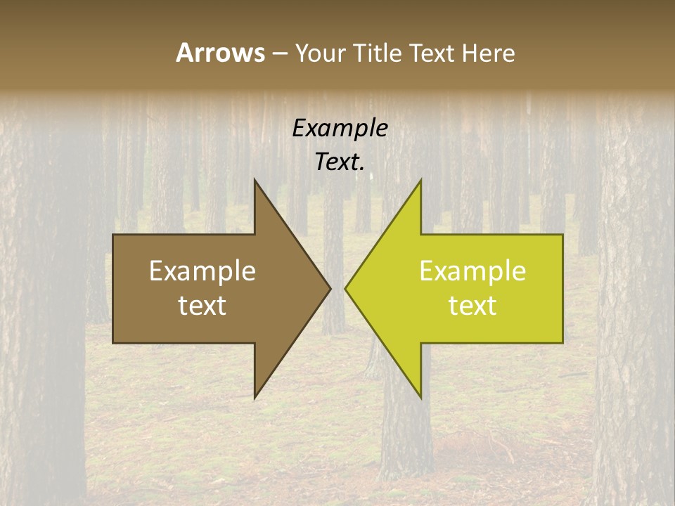 Pine Timber Spring PowerPoint Template