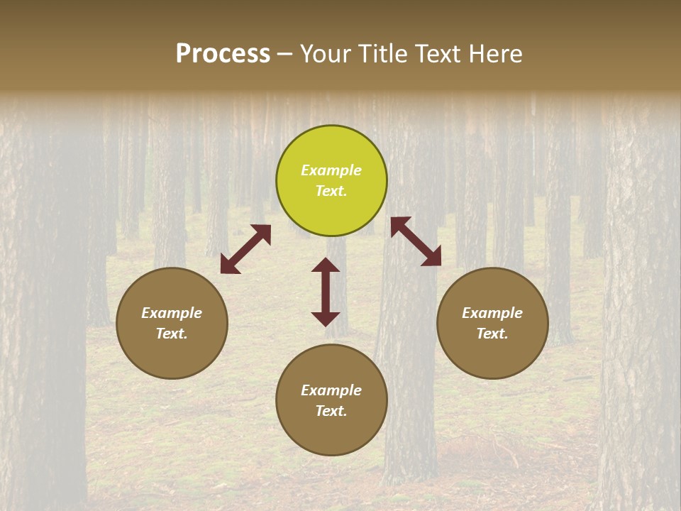Pine Timber Spring PowerPoint Template