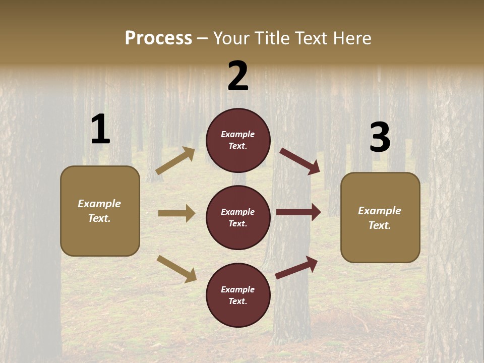 Pine Timber Spring PowerPoint Template