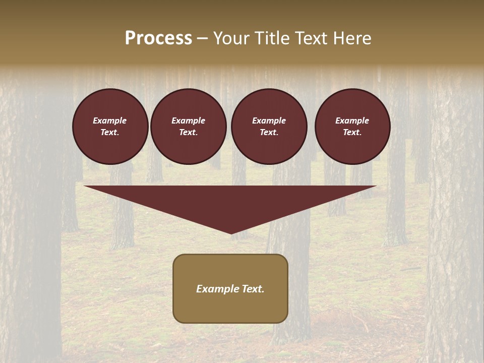 Pine Timber Spring PowerPoint Template